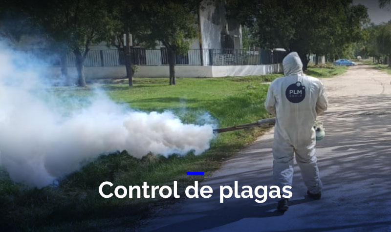 Tratamiento de pisos